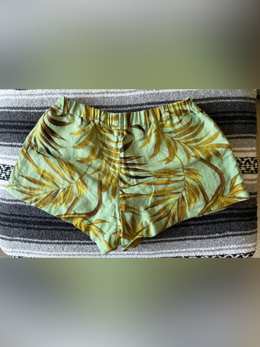 Mikoh Shorts